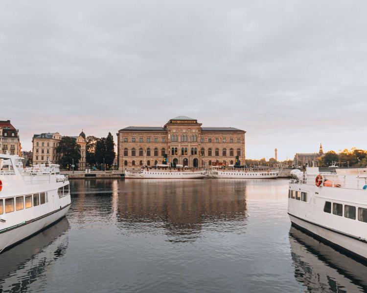 Story Hotel Riddargatan: Stockholm’s Chic Urban Retreat with Bohemian Flair