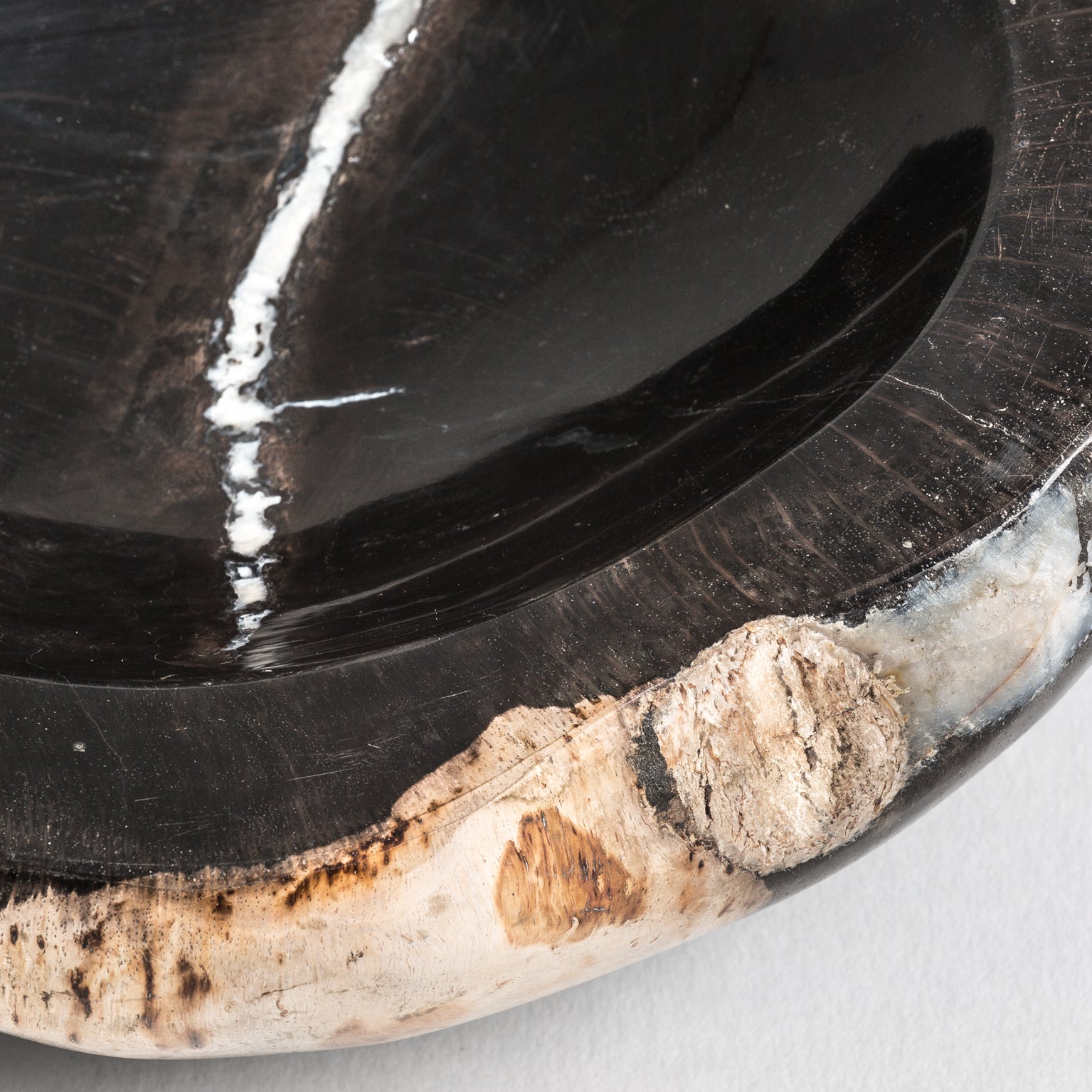 Petrified Wood Bowl - Multicolored Ethnic Decorative