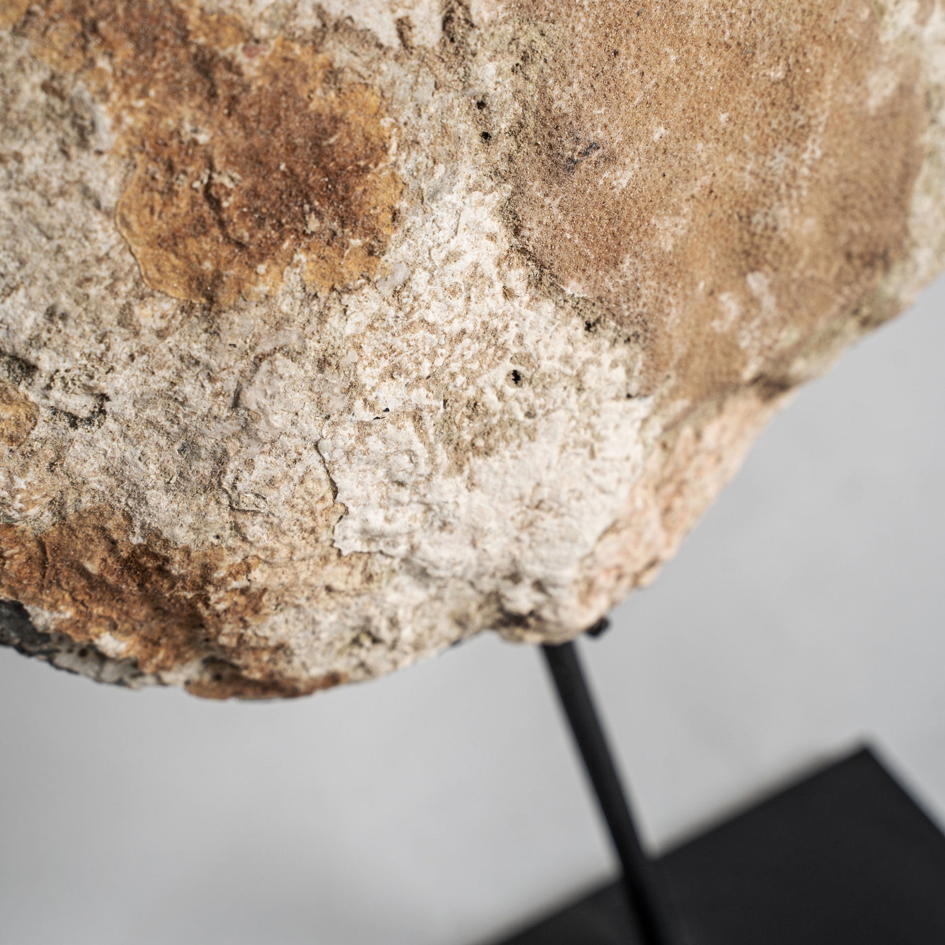 Skulptur Skal Nordic Shell Figure