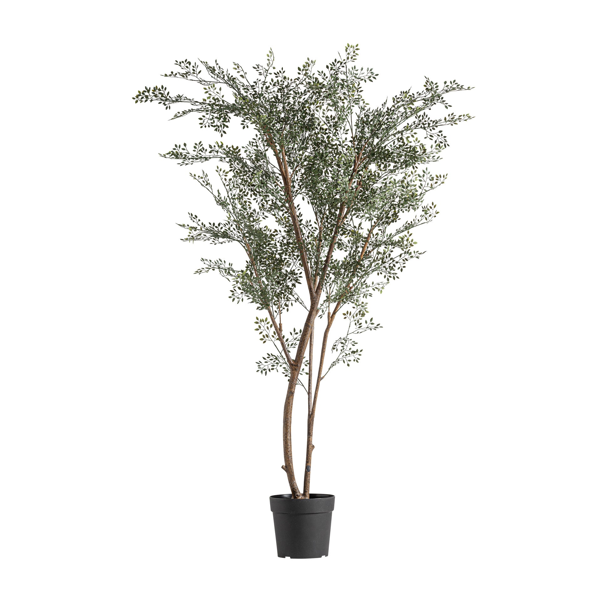 Doft Faux Eucalyptus Plant in Green with Black Concrete Pot