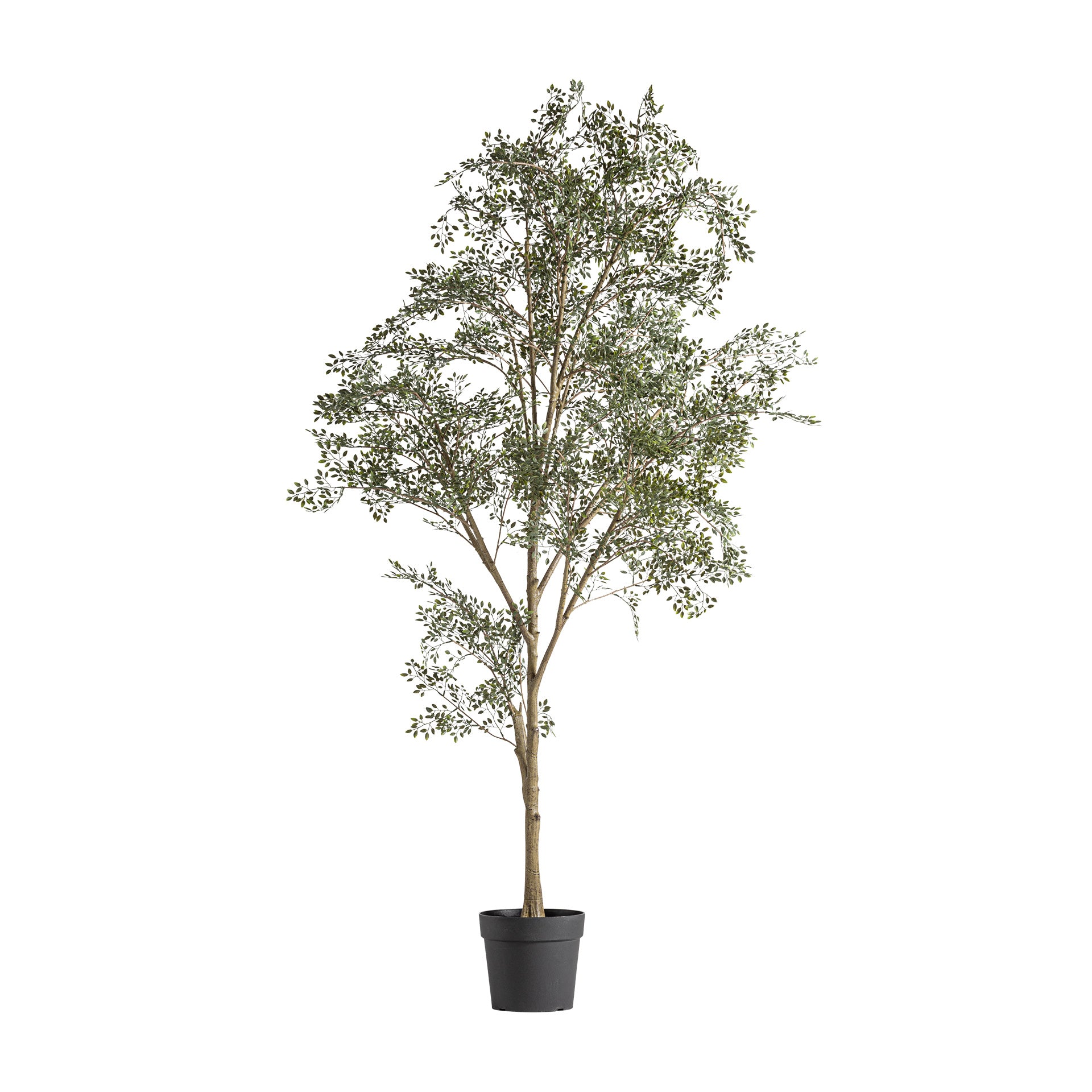 Gran Faux Olive Plant in Green with Black Concrete Pot