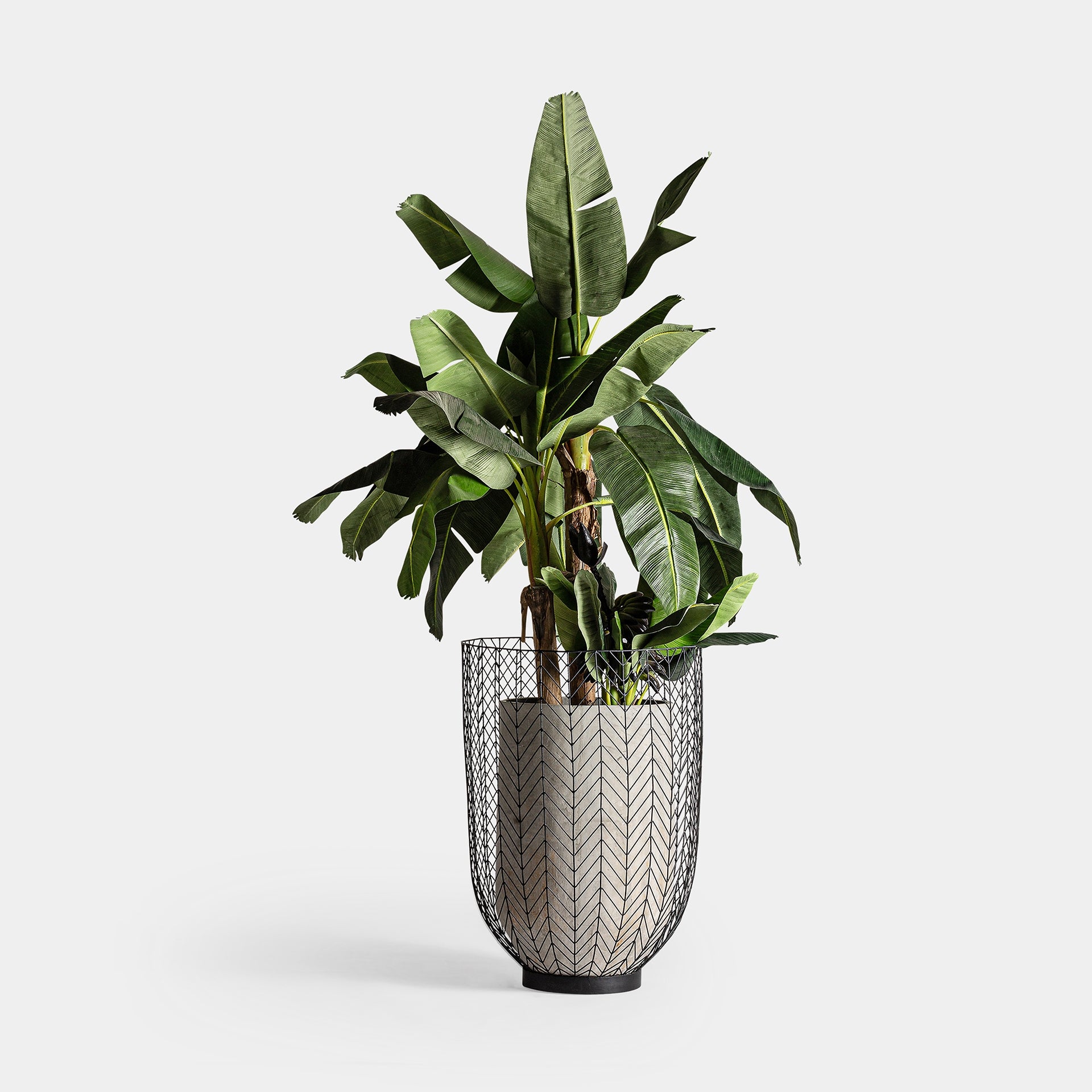 Plissé Metal Plant Pot Set of 2 - Handcrafted Pleated Design