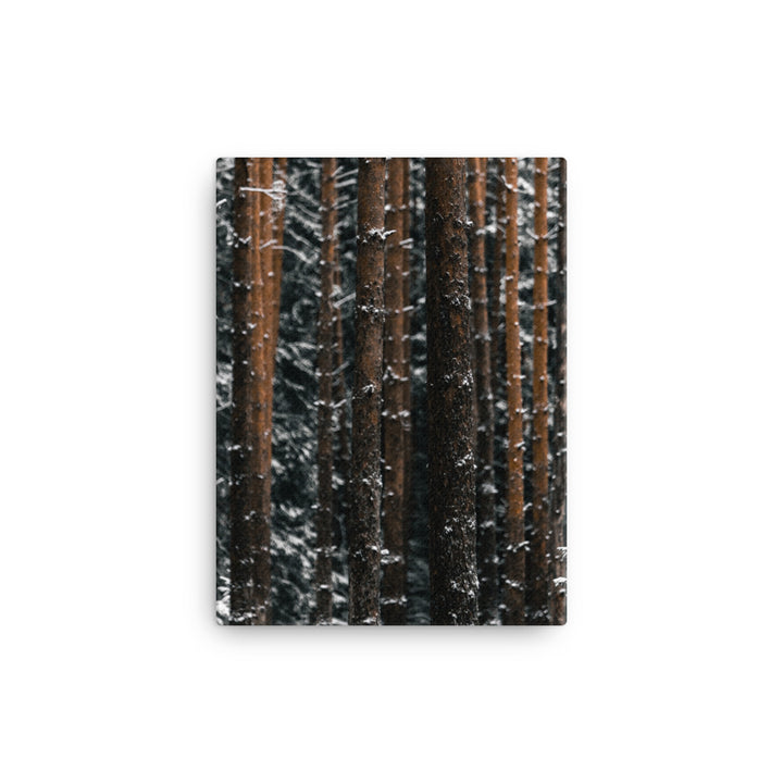 Finnish Winter Canvas