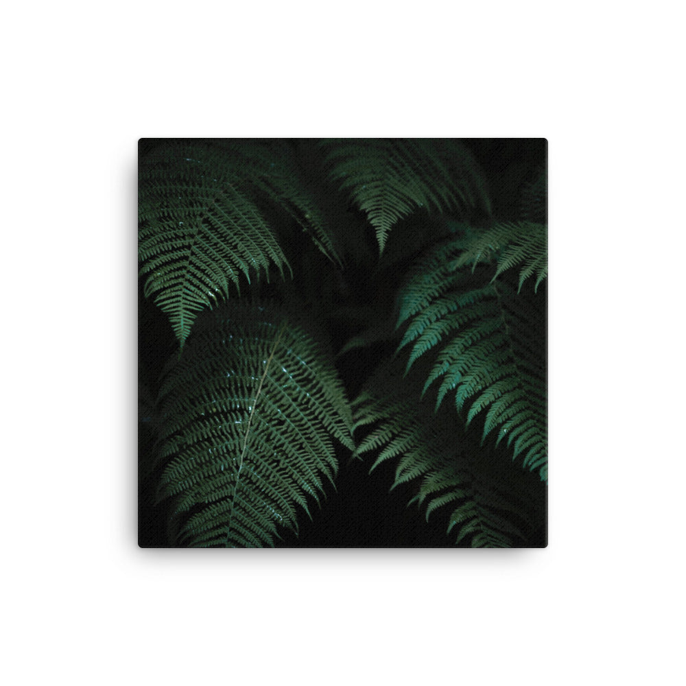 Jungle Canvas