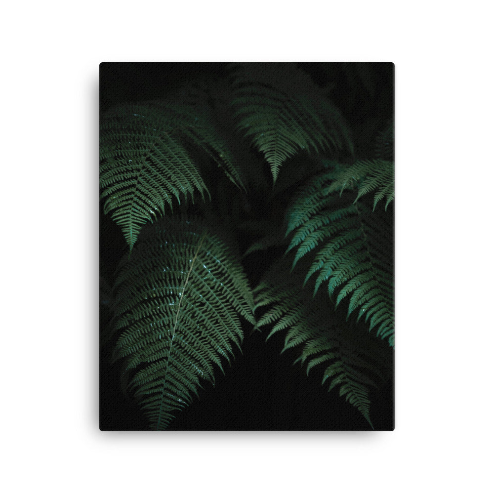 Jungle Canvas