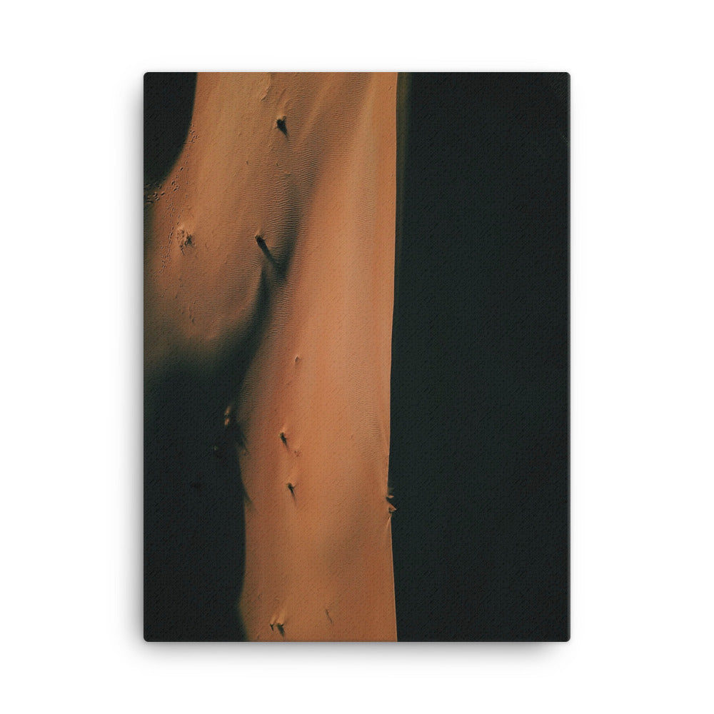 Dunes Canvas