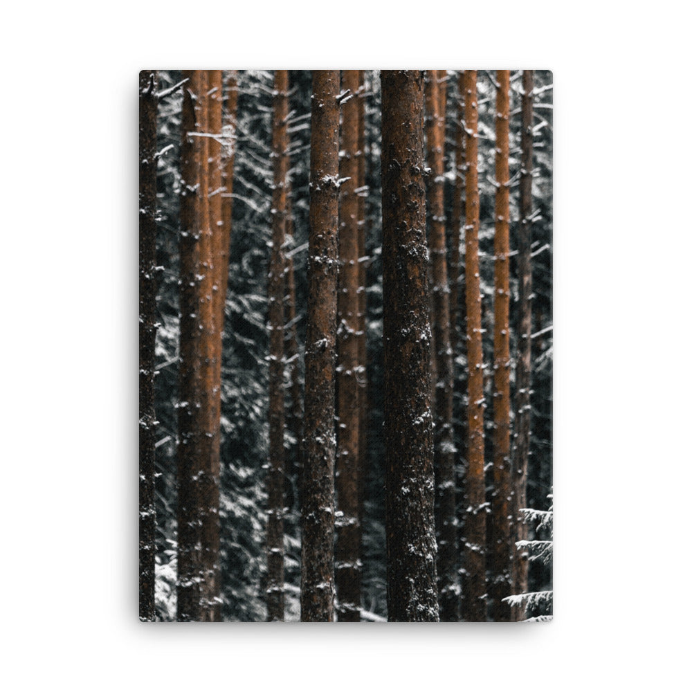 Finnish Winter Canvas