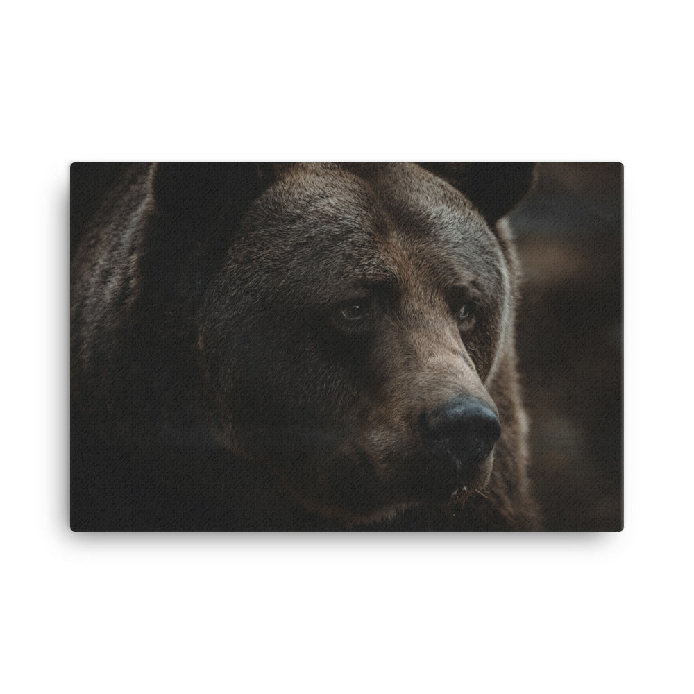 King Of The Forest Canvas