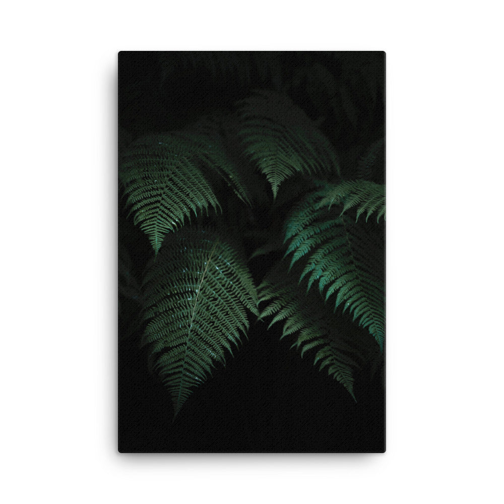 Jungle Canvas