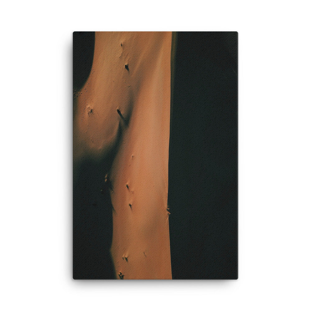Dunes Canvas