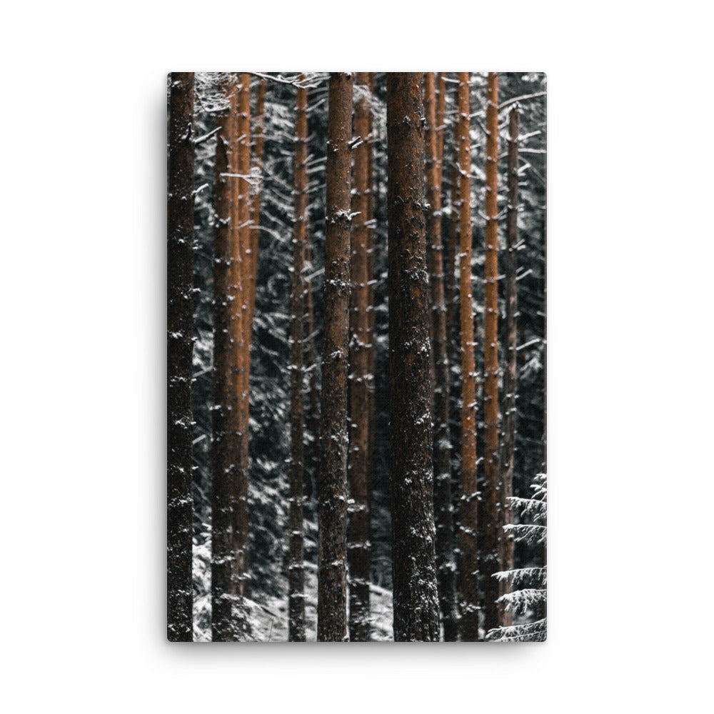 Finnish Winter Canvas